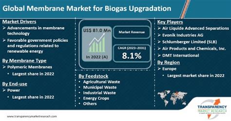 Membrane Market For Biogas Upgradation Industry Report 2031