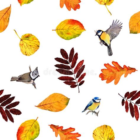 Birds Seamless Pattern Stock Illustration Illustration Of Mascot