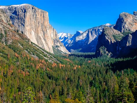 Yosemite National Park California Usa Life To Reset