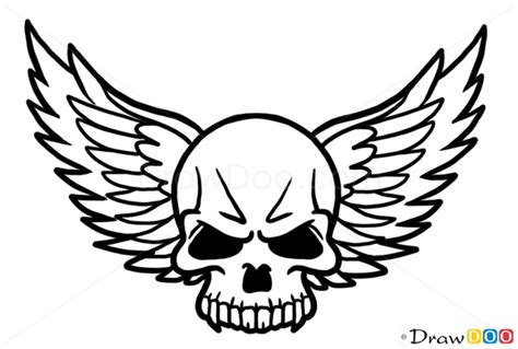 How To Draw Wings Skull Tattoo Skulls