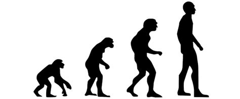 Da gibt es nämlich gruppen die glauben das man durch. Seit wann gibt es Menschen? Evolution im Zeitverlauf ...