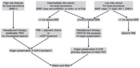Jcm Free Full Text Watch And Wait Approach For Rectal Cancer