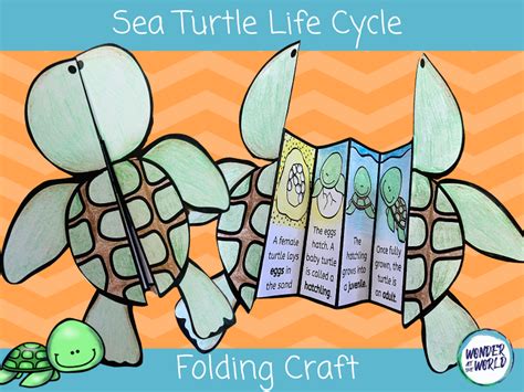 Life Cycle Of A Turtle Craft Teaching Resources Sea Turtle Life Cycle