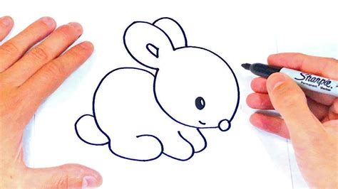 Cómo Dibujar Un Conejo Fácil Y Bonito Unsplassh