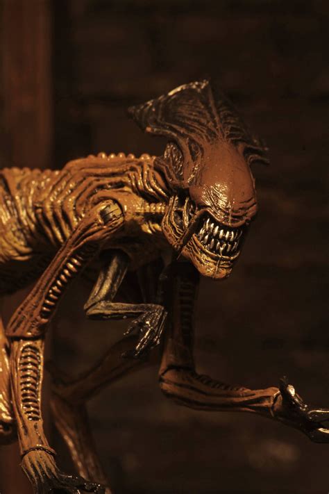 Each disney film is available for purchase for a limited time. Alien Movie UK 3 - Accessory Pack - Creature Pack Coming ...