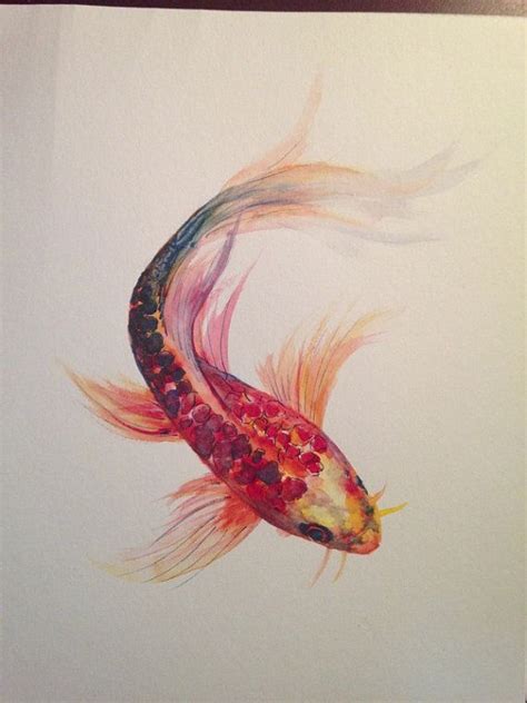 Watercolor Painting Koi Fish 9 X 12 Original By Laurenhellerart 5000