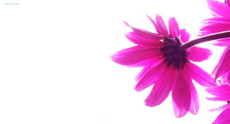 We hope you enjoy our growing collection of hd images to use as a background or home screen for your. Pretty Girly Colorful Wallpapers - We Need Fun