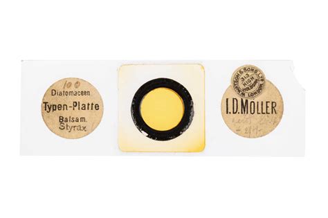 Lot 123 Möller Typen Platte Diatom Microscope Slide