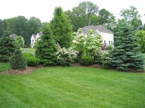 Layered Plantings Of Trees And Shrubs Evergreen Landscape Front Yard