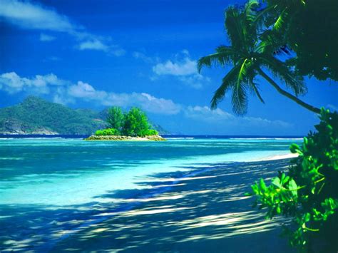 Tropical Island Background Wallpapersafari
