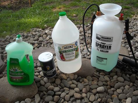 You could always put together your own homemade weed killer using any number of recipes on the internet. Weeds Be Gone | The Year Round Harvest
