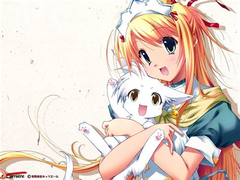 38 Anime Cat Girl Wallpaper Wallpapersafari