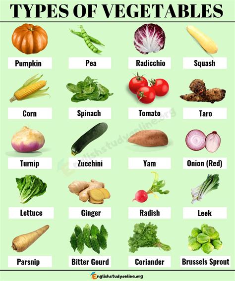 Types Of Vegetables