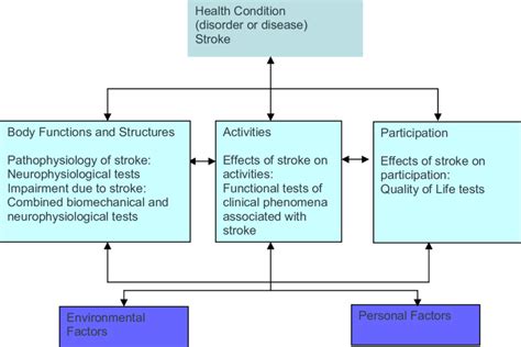 Icf Framework And Stroke Download Scientific Diagram