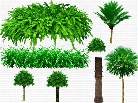 Small man hanging png images for photoshop. 14 PSD Plants Trees Images - PSD Tree Free Download, PSD ...