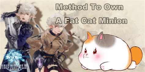Final Fantasy Xiv Guide Method To Own A Fat Cat Minion