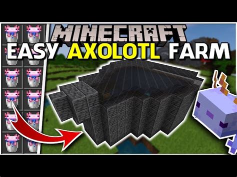 List Of All Axolotls In Minecraft And How To Capture Them