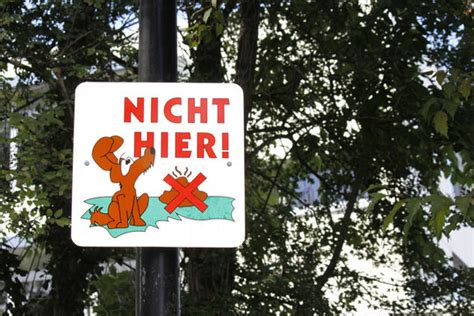 Darum sollten sie hundekot nicht kompostieren. Hundekot Schilder Kostenlos - Hundekot Gehort Nicht Auf ...