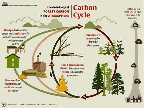 Ce Center How To Calculate The Wood Carbon Footprint Of A Building