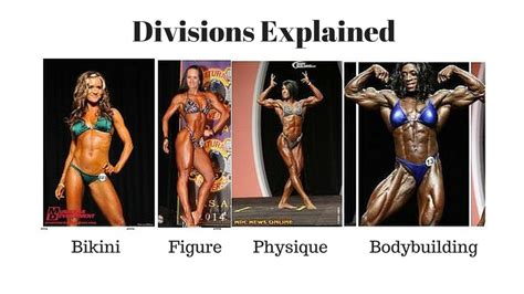 Divisions Explained Womens Bikini Wellness Figure Physique