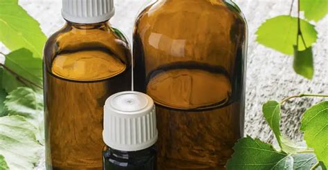 11 increíbles beneficios para la salud del aceite esencial de abedul remediosmd