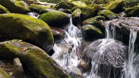 7 Waterfalls In The Smoky Mountains You Need To Visit Virtual Smokies