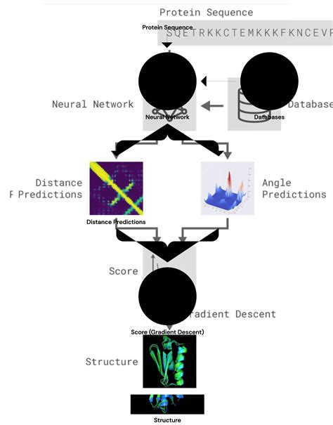AlphaFold Using AI For Scientific Discovery DeepMind