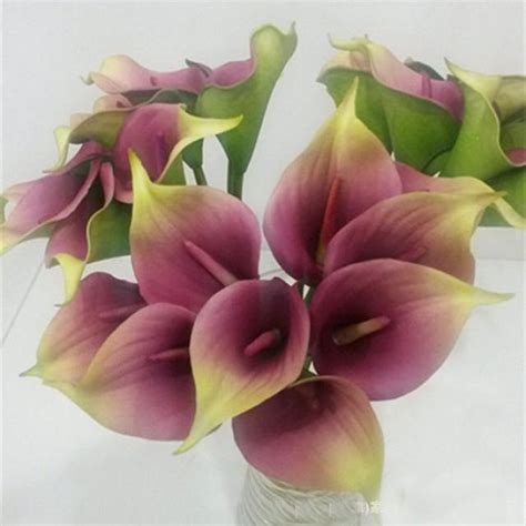 Pcs Purple Green Real Touch Calla Lilies Natural Calla Lily Bouquet