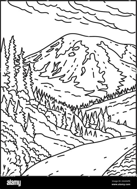 Mono Line Illustration Of Mount Rainier In Mount Rainier National Park