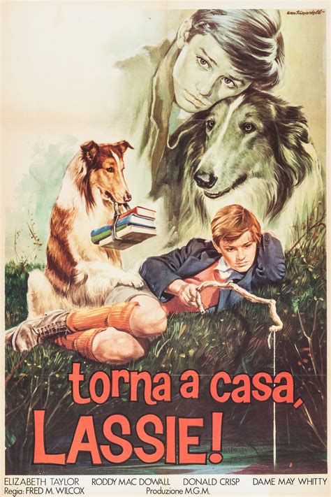Lassie Come Home 1943 Movies Filmanic