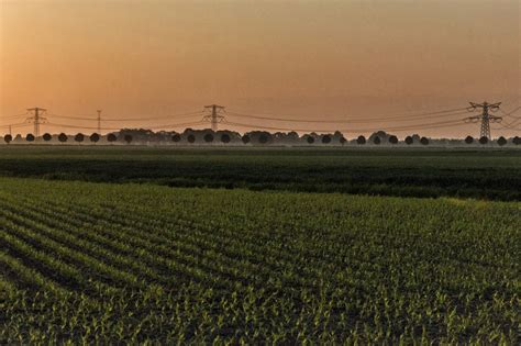 Gratis Afbeeldingen Landschap Natuur Buitenshuis Horizon Veld