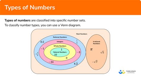 Types Of Numbers Elementary Math Steps Examples And Questions