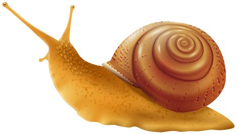 Cartoon Snails Clipart