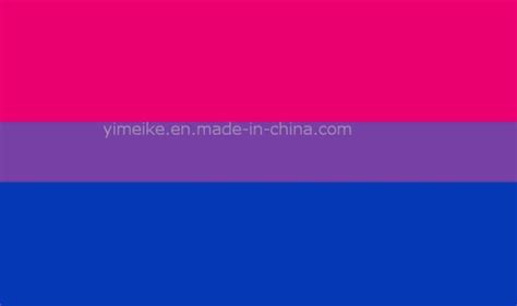 What Is Gay Pride Transgender Lesbian Bi Sexual Rainbow Banners Lgbt Flags