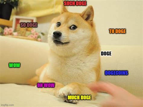 Such Doge Imgflip