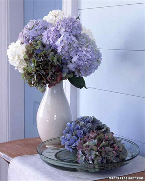Feb 06, 2012 · multicolored hydrangea arrangement various colors of hydrangeas take on a stately elegance when grouped together in a tall vase. Hydrangea Arrangements | Martha Stewart
