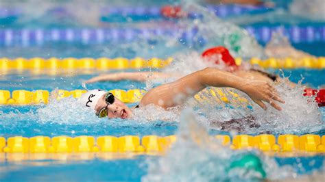Licensing Meets Apply To License Your Swimming Meet With Swim England