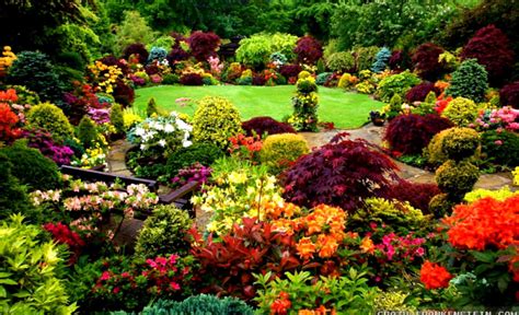 Flower Garden Wallpapers Top Những Hình Ảnh Đẹp