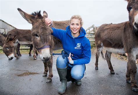 Bleakholt Animal Sanctuary Cannot Wait Ahead Of Reopening This