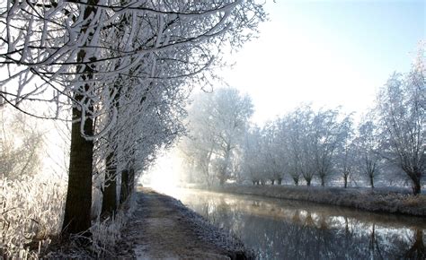 Photography Nature Landscape Winter Water River Trees Snow