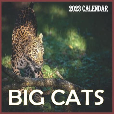 Big Cats Calendar 2023 Calendar 2023 2024 16 Month Perfect Calendar