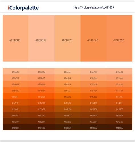 150 Latest Color Schemes With Peach Orange Color Tone Combinations 2021 Icolorpalette