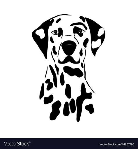 Decorative Outline Portrait Of Dog Dalmatian Vector Image