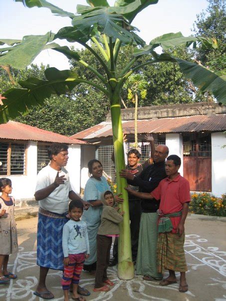 Kami menyediakan kumpulan film online dari berbagai genre dan negara. BANGLADESH Christmas among banana trees and under bamboo stars