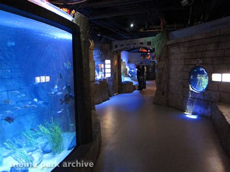 Sea Life Aquarium At Legoland California Theme Park Archive
