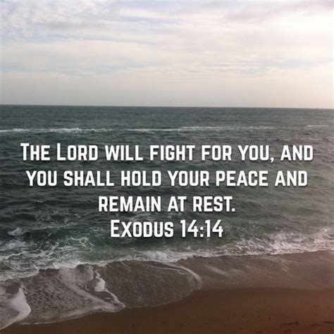 The Lord Will Fight For You And You Shall Hold Your Peace And Remain