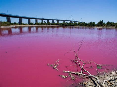 Conheça O Lago Rosa Um Fenômeno Durante Todo O Verão Na Austrália