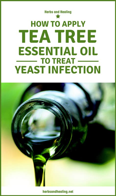 Tea Tree Essential Oil For Treating Yeast Infections Herbs And