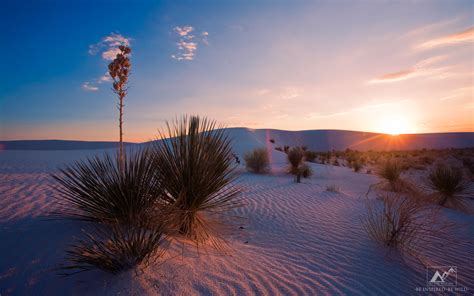 Free Download Weekly Wallpaper Sunset Over White Sands Letsbewildcom