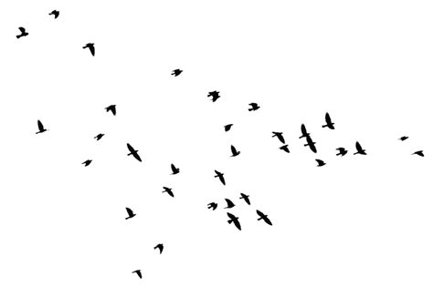 Bird Silhouette Clip Art Flock Of Flying Geese Png Download 1024